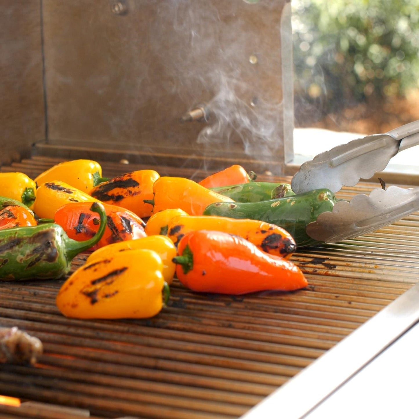 PGS T-Series T30 Commercial Cast Aluminum Propane Gas Grill With Timer On In-Ground Post - Image 12