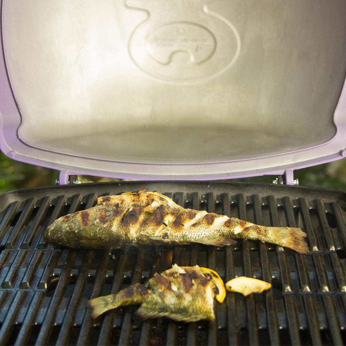 Weber Q 1200 Portable Propane Gas Grill - Orange - 51190001 - Image 11
