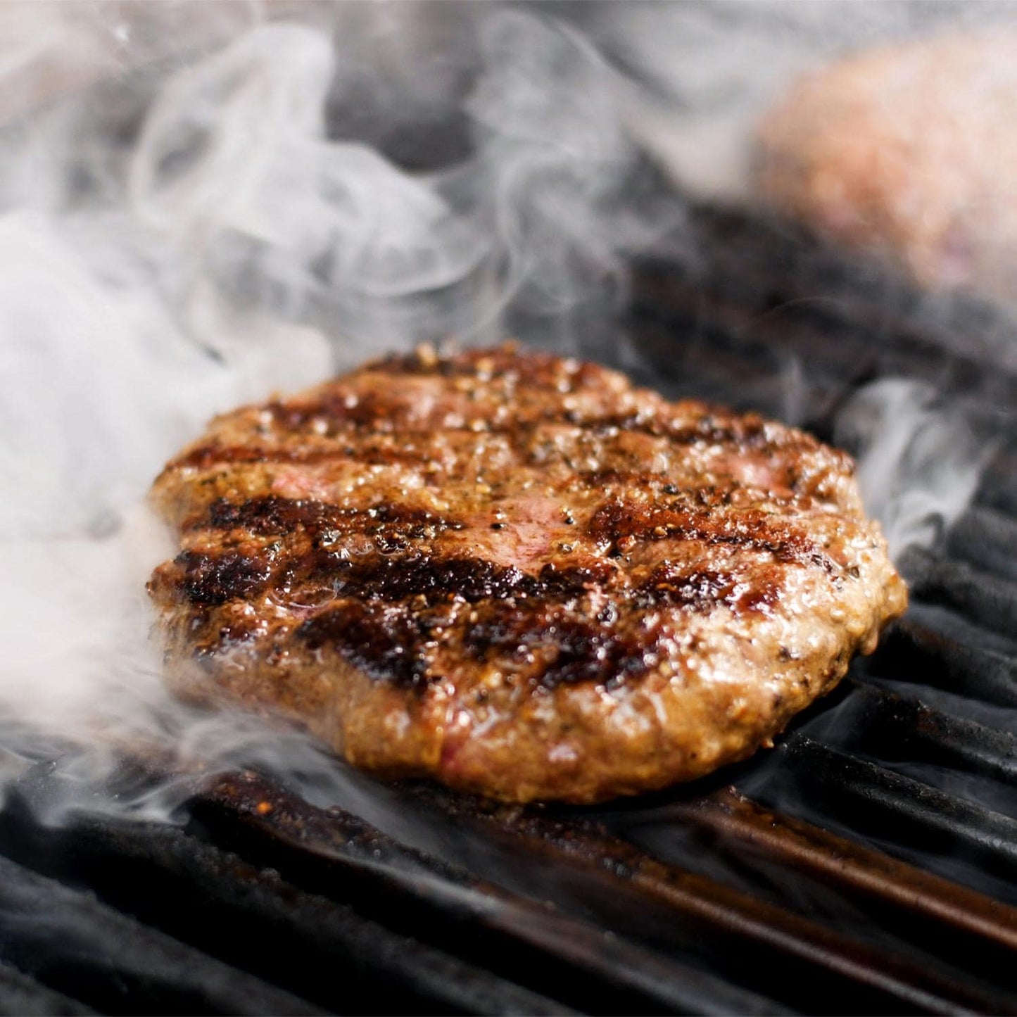 Saber Elite 1330 20-Inch 2-Burner Infrared Propane Gas Grill - R33SC0717