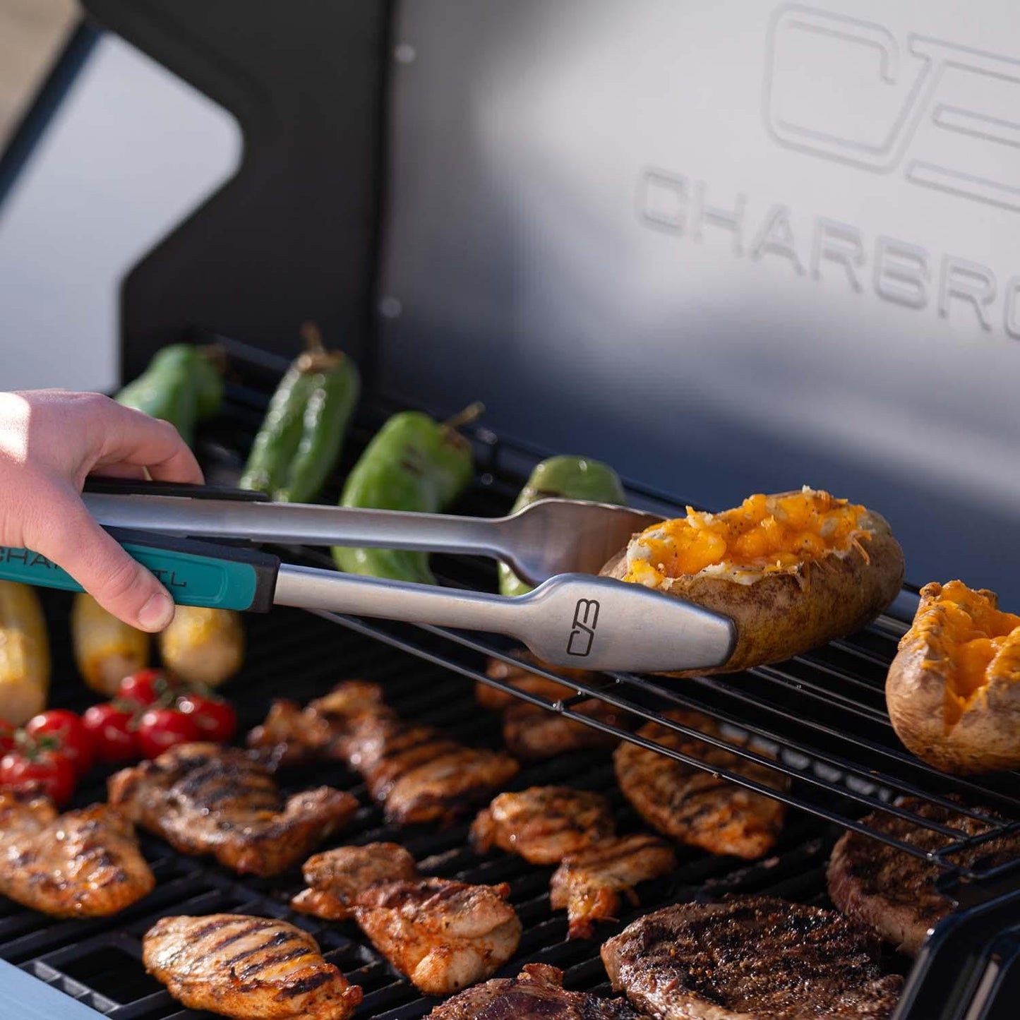 Charbroil Performance Series 6-Burner Propane Gas Grill Cabinet - Grey & Stainless - 463286125