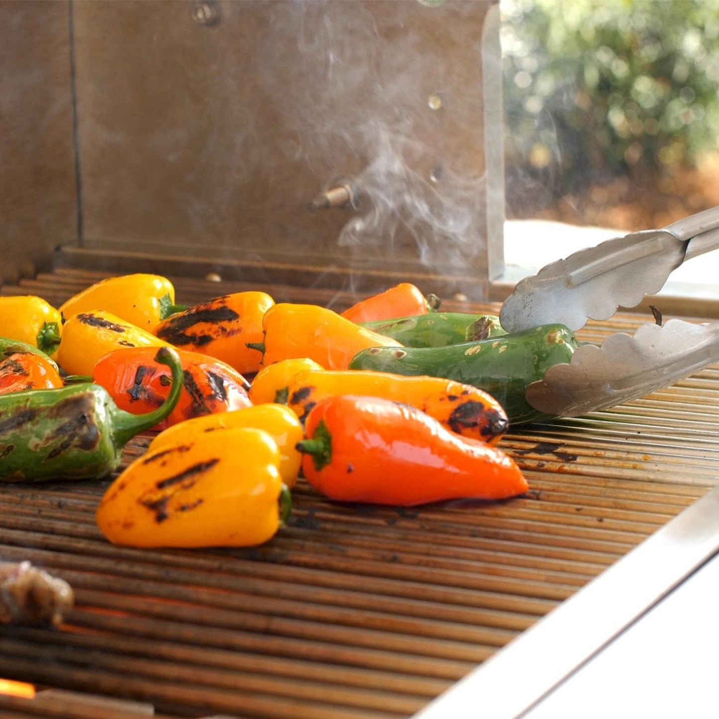 PGS T-Series Commercial 39-Inch Natural Gas Grill With Timer - S36TNG - Image 13
